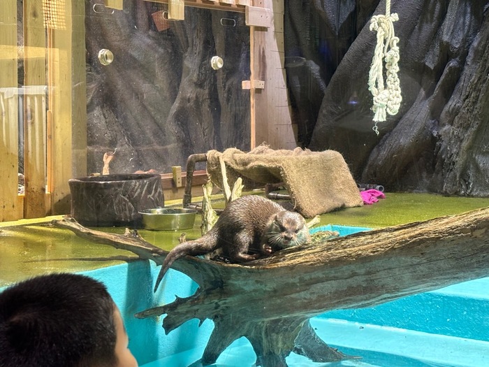 写真：リンゴ狩り