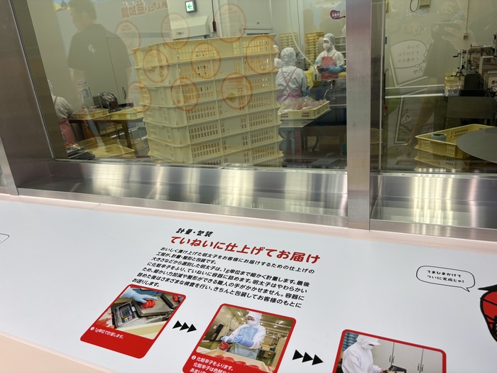 写真：社会見学4